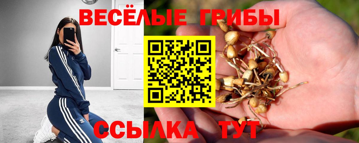 Псилоцибиновые грибы мухоморы Орехово-Зуево